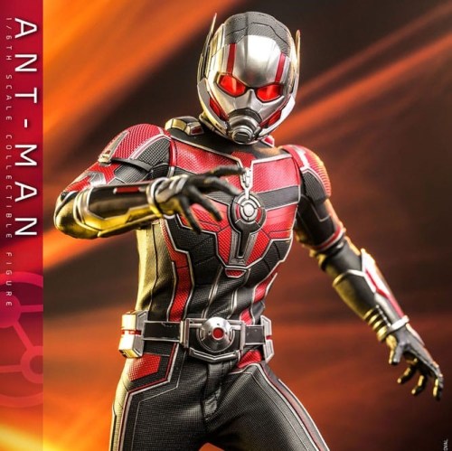 Ant-Man & The Wasp Quantumania Movie Masterpiece 1/6 Action Figure Ant-Man by Hot Toys